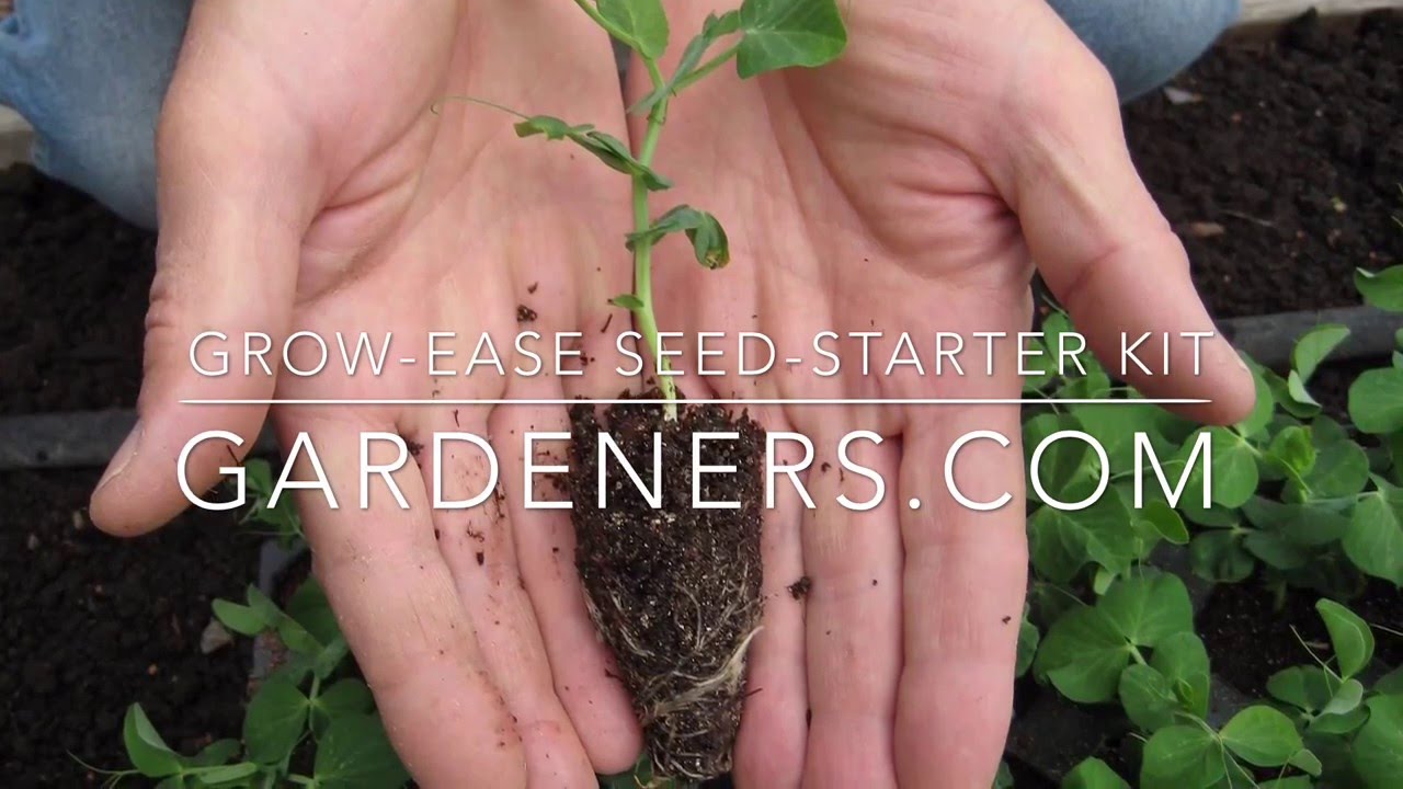 Seedstarting 2 (2016) GrowEase SeedStarter Kit Review Herbal