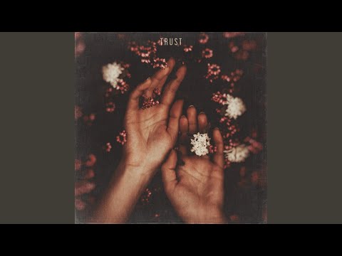 Trust - SWIM