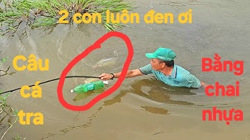 39 | Thả câu cá tra bằng chai nhựa | fish