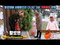 할로윈| Halloween| Trick or Treat| 국제커플| 캐나다| 육아| 브이로그