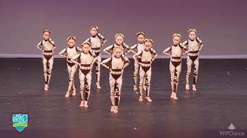 MR ROBOTO - Synergy Dance Competition 2019