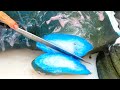One of the most amazing fish in the world.
