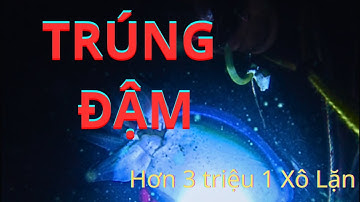 Lặn Đêm Biển Lagi | Trúng Đậm 1 Xô Hơn 3 Triệu, Mực Bạch Tuộc Ghẹ Ngập Mặt