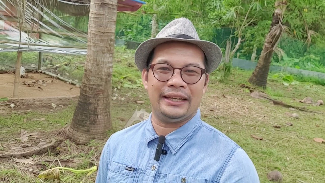 Ano ang pagkain ng mga Sisiw kada Buwan na edad nila