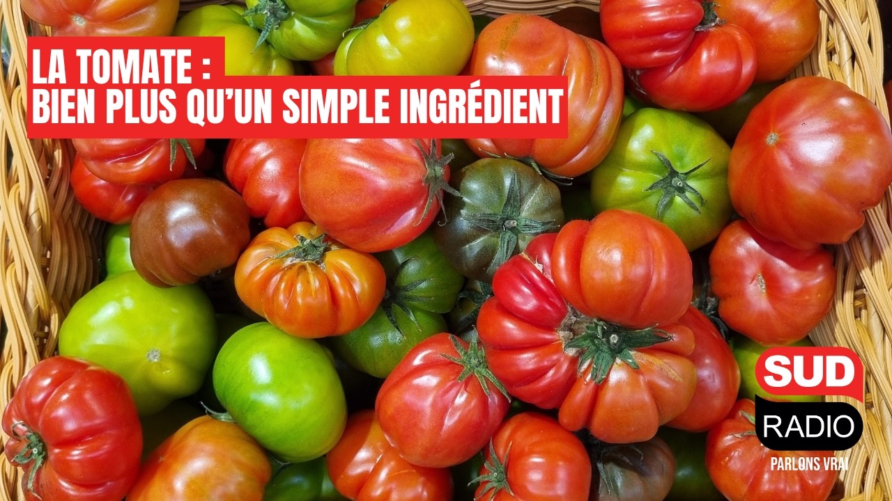 La tomate : bien plus qu’un simple ingrédient pour l’étoilé Denis Martin