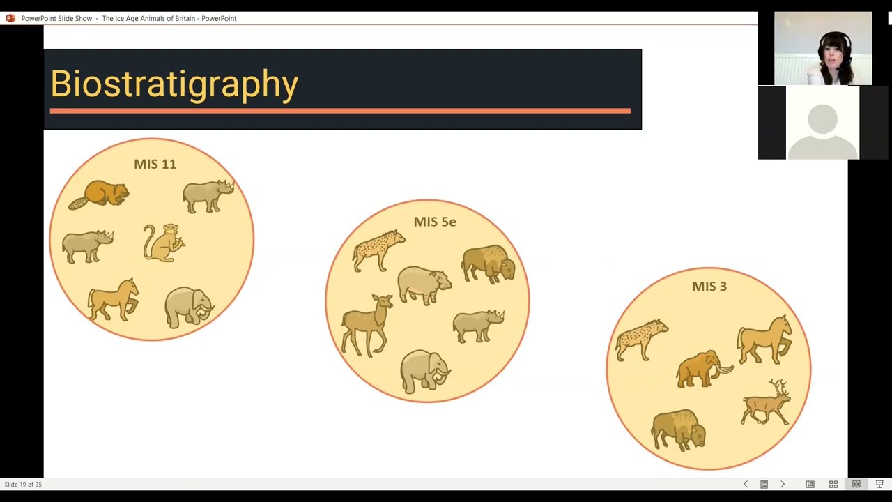 The Ice Age Animals of Britain