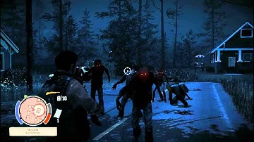 State of Decay - Aiming