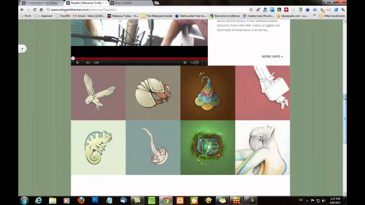 Flexible WordPress Theme Review