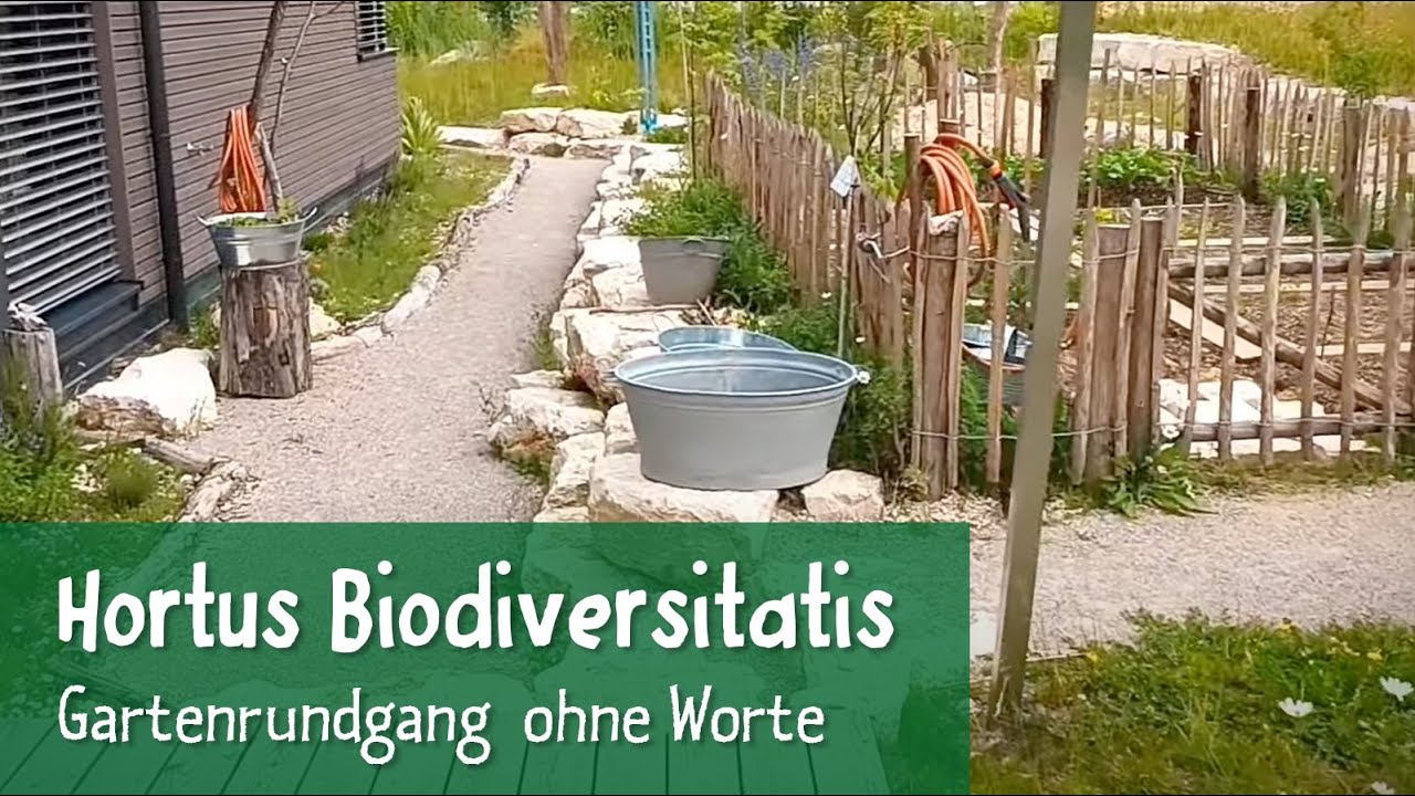 Hortus Biodiversitatis, Mai 2022
