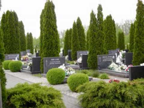 Jura Stublić - Bili Cvitak