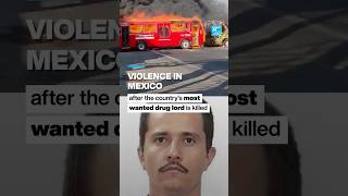Famous Violence in Mexico after the country’s most wanted drug lord is killed • FRANCE 24 English Profile