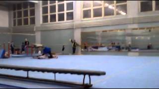 Спортивная гимнастика - открытый урок 2012 Спортивная гимнастика - открытый урок 2012