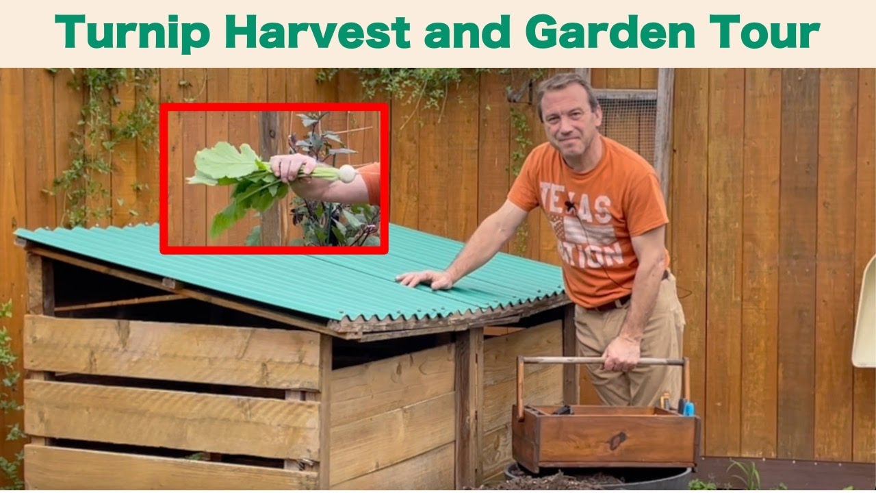 Tokyo Cross Turnip Harvest and Garden Tour