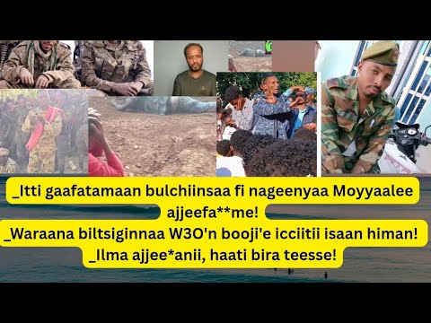 Sad 23 2025 Waraanni Biltsiginnaa W3O N Booji E Maal Jedhu Ajjeech Aa Sukkanneessaa 