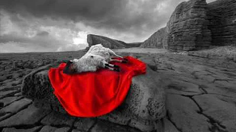 Singing Glory(to the Lamb That Was Slain) - Glen G...
