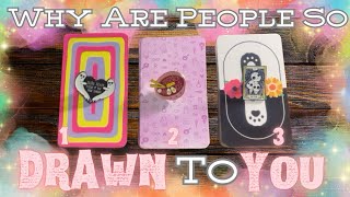 Why Are People So DRAWN To YOU?  | InDepth Timeless Tarot