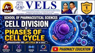 Cell Division Made Easy Cell Cycle Mitosis Meiosis Pharmacy Students