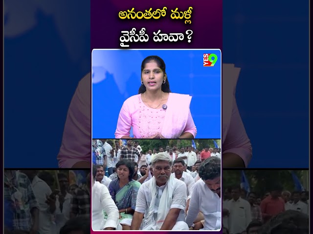 అనంతలో మళ్లీ వైసీపీ హవా? #ycp  #anantapur #tdp #kutami