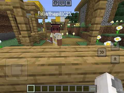 Beställning | minecraft film