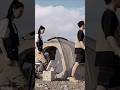 Camping Tent Commander Dome Tent Shelter Waterproof