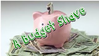 A Budget Shave: Walgreens 3 Blade Disposable Razors and Equate Shave Gel