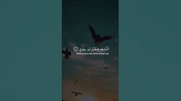 ماهر المعيقلي سورة الفيل maher muaiqly surah Al-fil