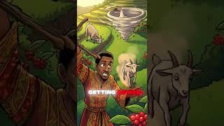 the secret of coffee #animation #facts #funny #history #coffee