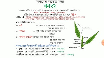 Class VII , Science Class