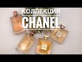 МОЯ ОГРОМНАЯ КОЛЛЕКЦИЯ CHANEL (3ЧАСТЬ)