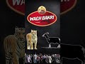 🦁वाघ बकरी नाम क्यों 🤔रखा ? #shorts #facts #trending
