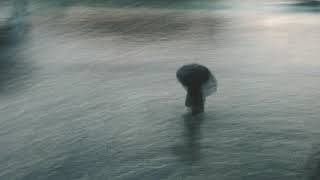 Paper moth - Rain (lost)