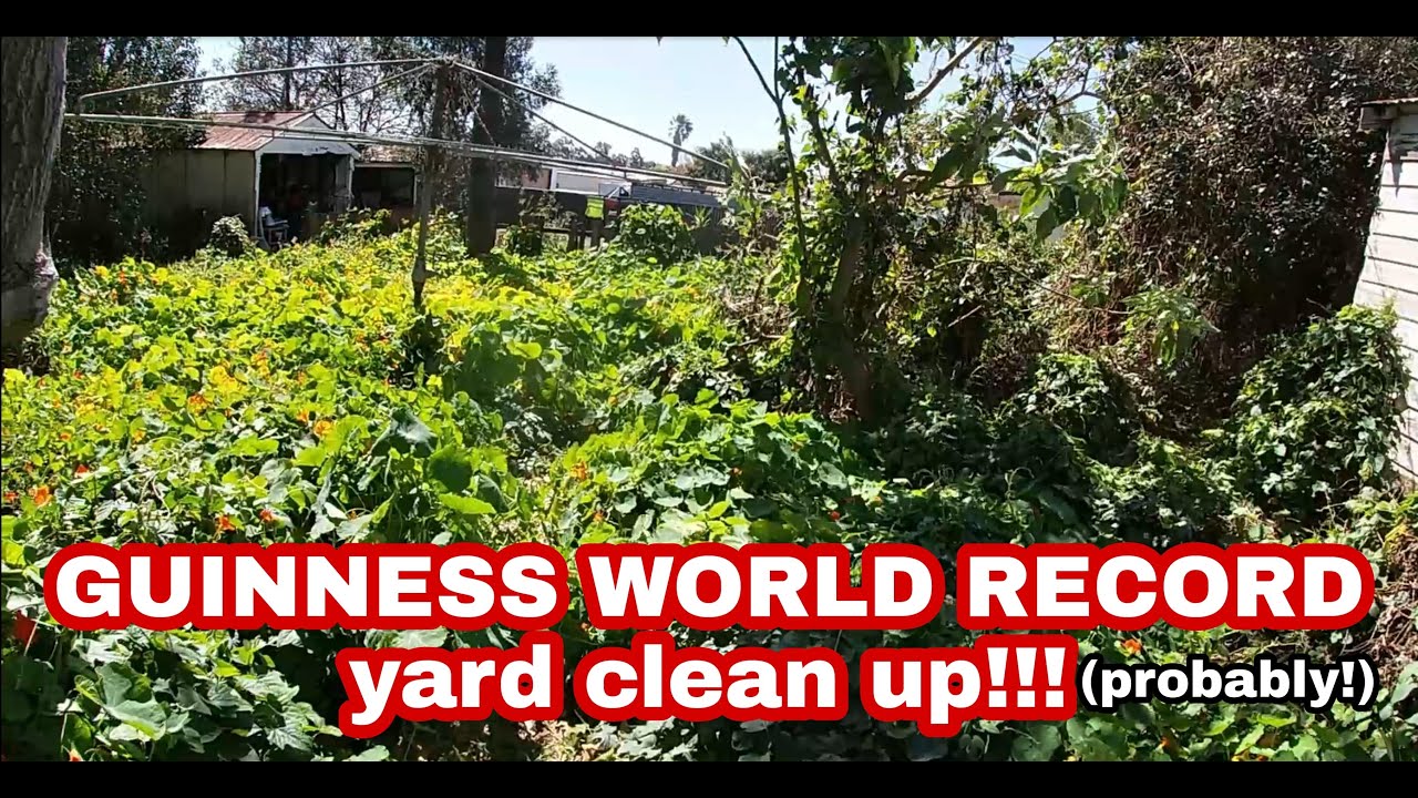 80 year old gets the BIGGEST YARD CLEAN UP ever! 6 VIDEOS in 1 YouTube