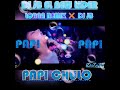 ☢️LORNA REMIX ❌ DJ JB ☢️ ⚠️ PAPI PAPI PAPICHULO⚠️