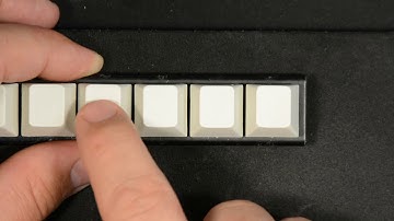 Purple Trash Pandas vs. Holy Pandas vs. T1