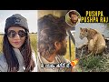 Watch: Allu Arjun enjoying his vacation with family- Allu Sneha, Allu Arha, Allu Ayaan