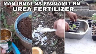 PAANO ANG TAMANG PAG GAMIT NG UREA