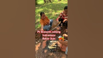 Kegiatan pt Ekasanti  cabang Indramayu, bakar “ ikan
