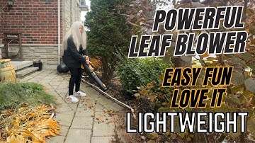 Honest Review Who knew HENPRO clearing leaves could be this satisfying?
