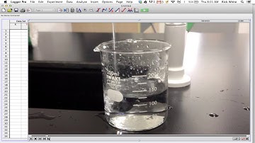 logger pro import movie and time stamp