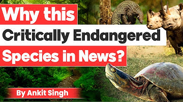 Why this Critically Endangered Species In News? | Ankit Singh | StudyIQ IAS English