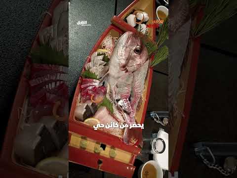 طبق إيكيزوكوري الياباني: وجبة بحرية تُقدم حية