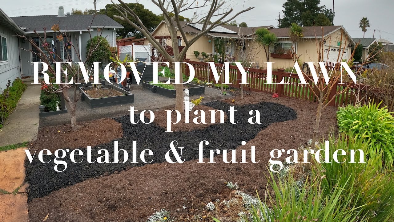 Planting a FRONT YARD vegetable and fruit garden. - YouTube