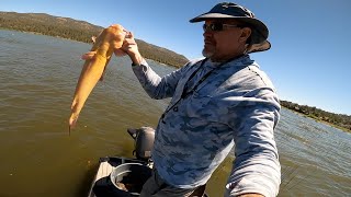 CK 2023 #24 - Bowfishing 58 carp, one Albino catfish (part two)