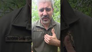 Молдова - результаты выборов супер, рф тамагавкнется, Пыня - прыщ Сидзеньпыня