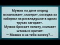 Мужик На Даче Залез На Соседку! Сборник Свежих Анекдотов! Юмор!