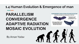 1.4(c) Parallelism, Convergence, Adaptive Radiation, Mosaic evolution | Anthropology Optional upsc