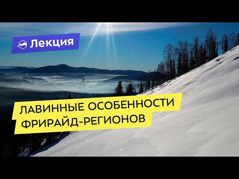 Лавинные особенности фрирайд-регионов