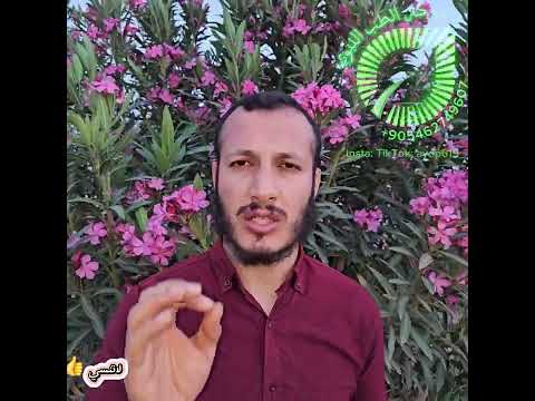 شجره الدفلى ستعماله الأمراض الجلديه