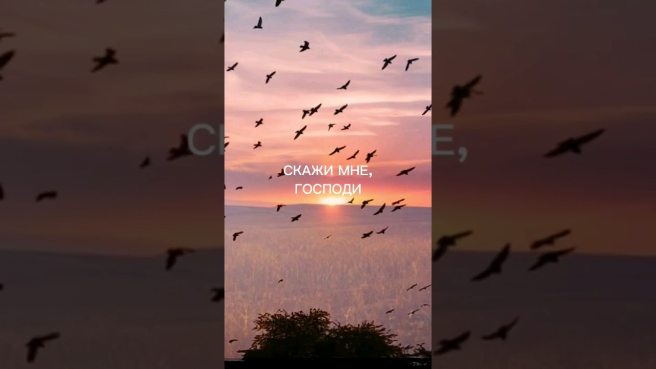 Скажи мне, Господи ??ГаласьОльга #современнаяпоэзия #современныестихи # ...