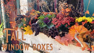 Fall Window Boxes - Outdoor Fall Decorating - Fall Planters - Fall Mums - Fall Containers